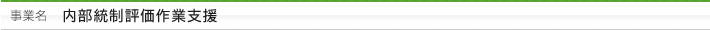 事業名：内部統制評価作業支援