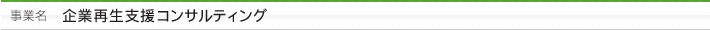 事業名：企業再生支援コンサルティング
