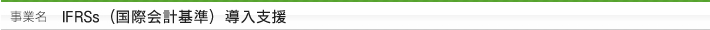 IFRSs（国際会計基準）導入支援